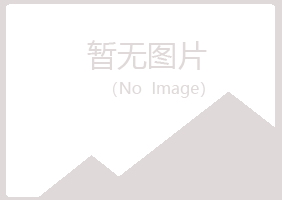 宜川县夏岚金属有限公司